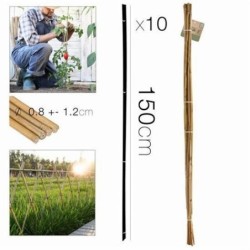 PACK 10 VARILLAS 150CM BAMBU
